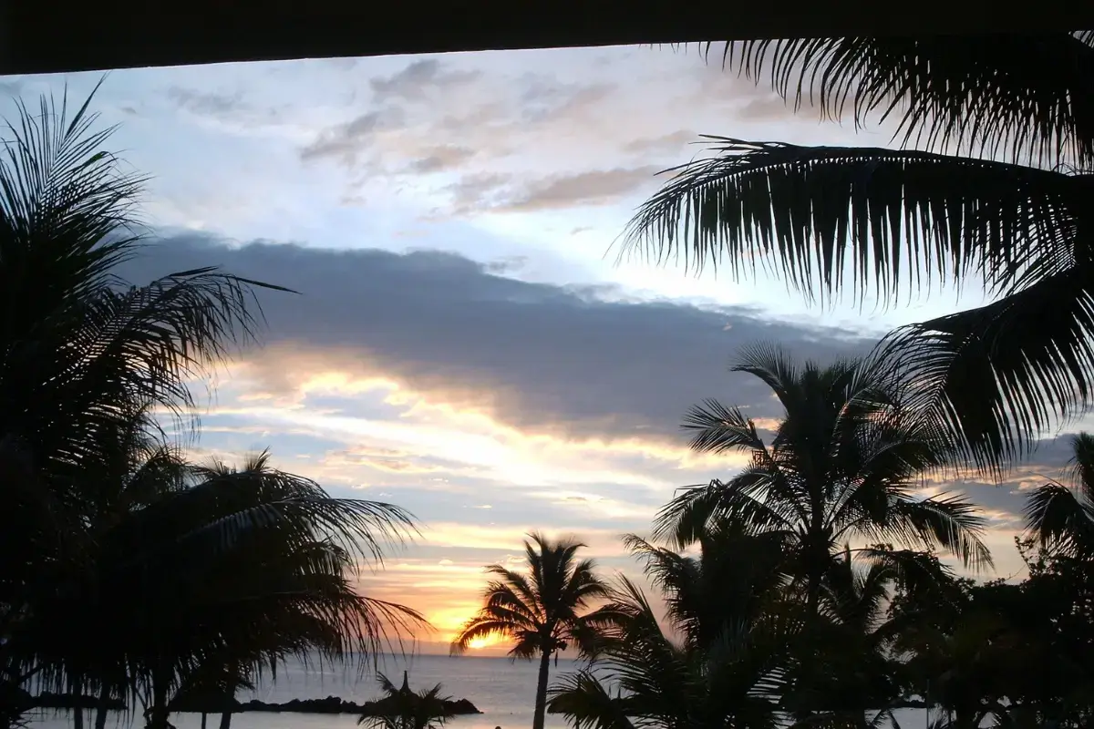 Book a Mauritius tour and explore the beauty and nature of Mauritius with your family and friends.