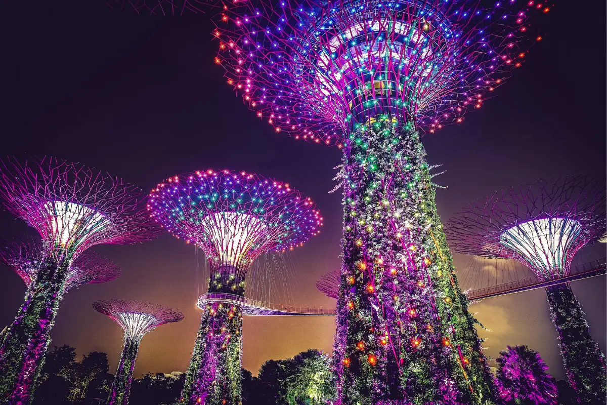 Enjoy the beautiful nightlife of Singapore and experience the luxurious tour.