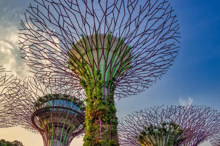 The Singapore and Malaysia tour package is perfect for anyone seeking relaxation, adventure, and sightseeing.