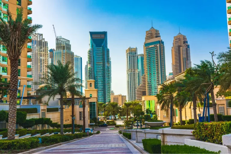 Your best of Dubai tour starts with visiting the beautiful city and tasty food.