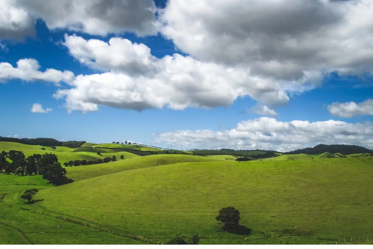 Lost in the natural beauty that soothes your mind in Kerala.