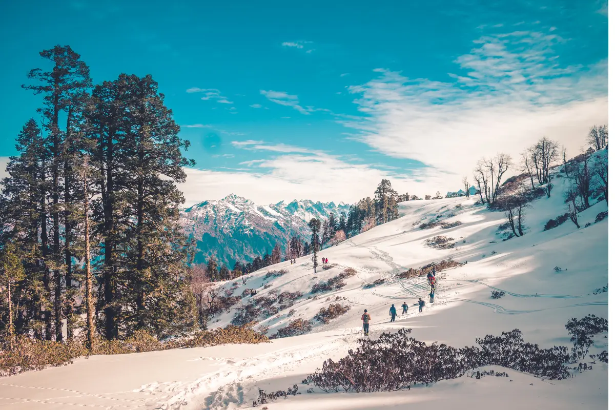 Explore the mountain areas and visit the ancient temples in Ranikhet with your friends and family.