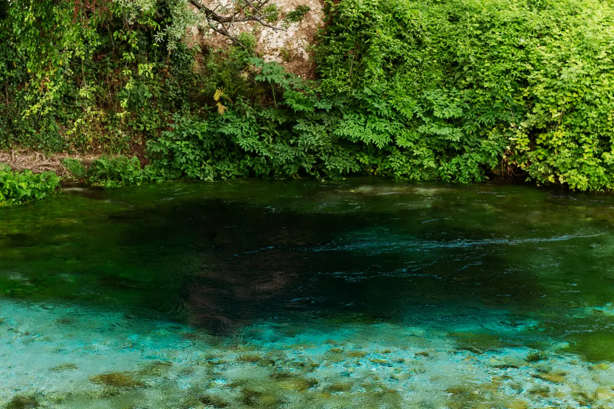 Explore the breathtaking beauty of Gujarat, a land brimming with culture, heritage, and natural beauty.