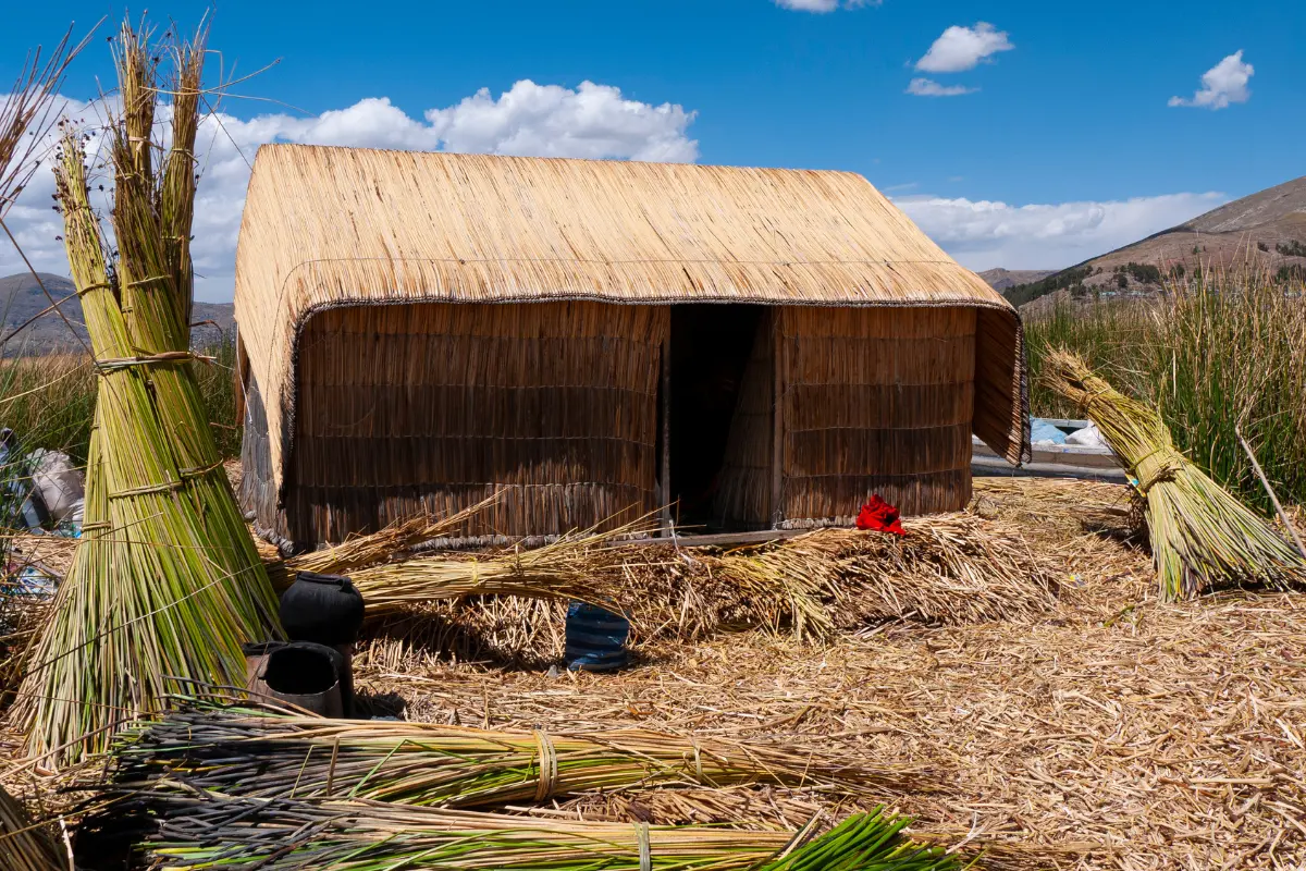 Beautiful view of Hodka village in Gujarat, with traditional mud houses and rich culture.