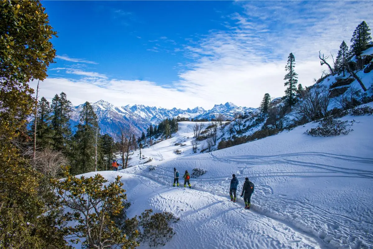 Beat the heat this summer with our special Manali trip and enjoy the cool, refreshing vibes.