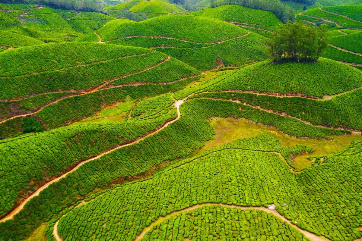 Karela Munnar Trip Plan