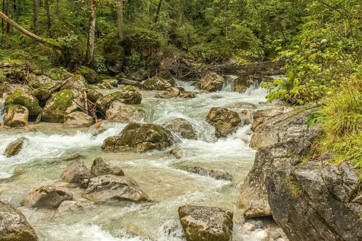 Fall in love with Munnar's beauty in Kerala.