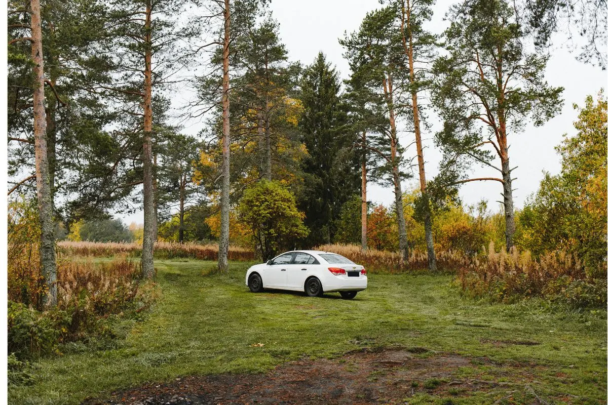 Get the best touring experience, from sightseeing the beautiful plantations of Thekkady, Kerala