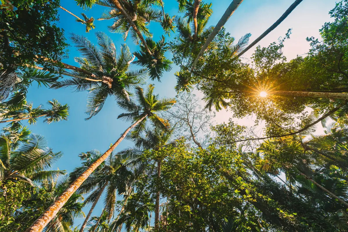 Goa is a beautiful place to spend some fun time with your friends.