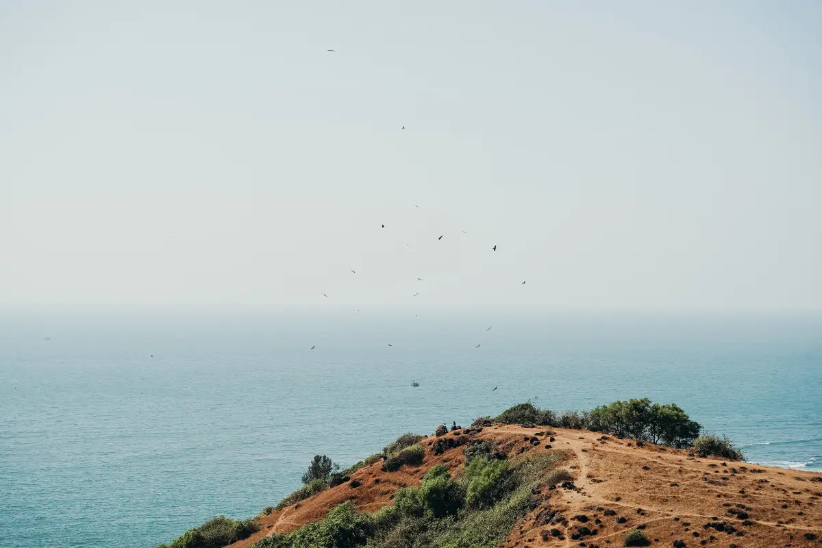 Experience the unique vibe that makes you feel alive in Goa