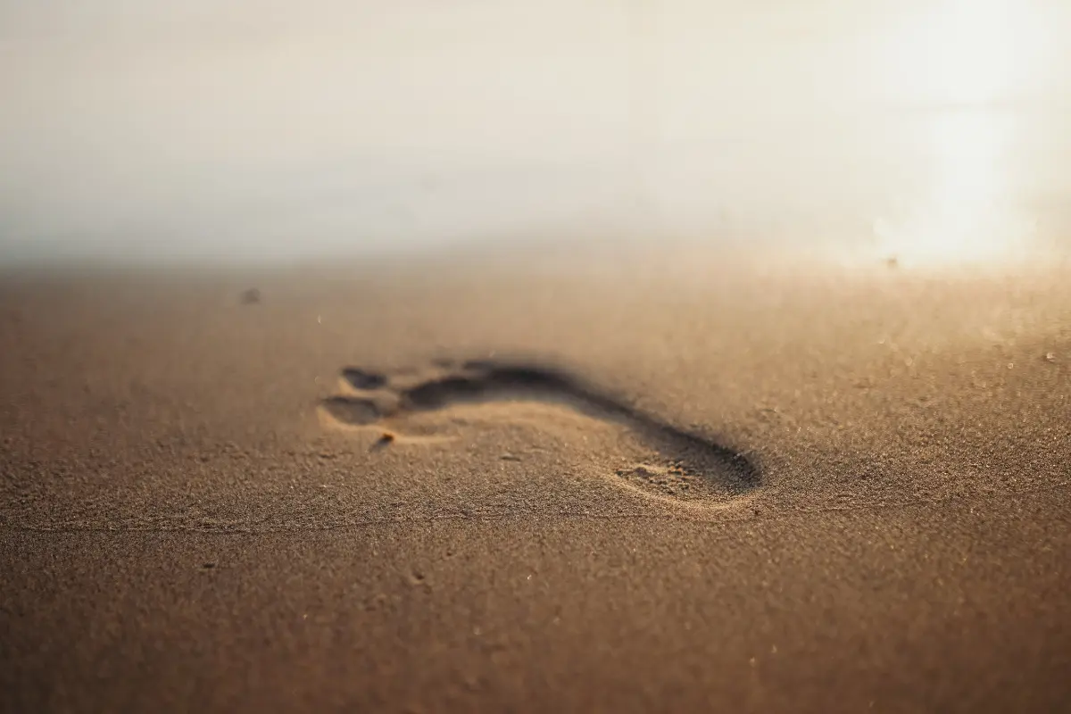 Best quality time on romantic beaches, cozy shacks, and serene sunsets in Goa.