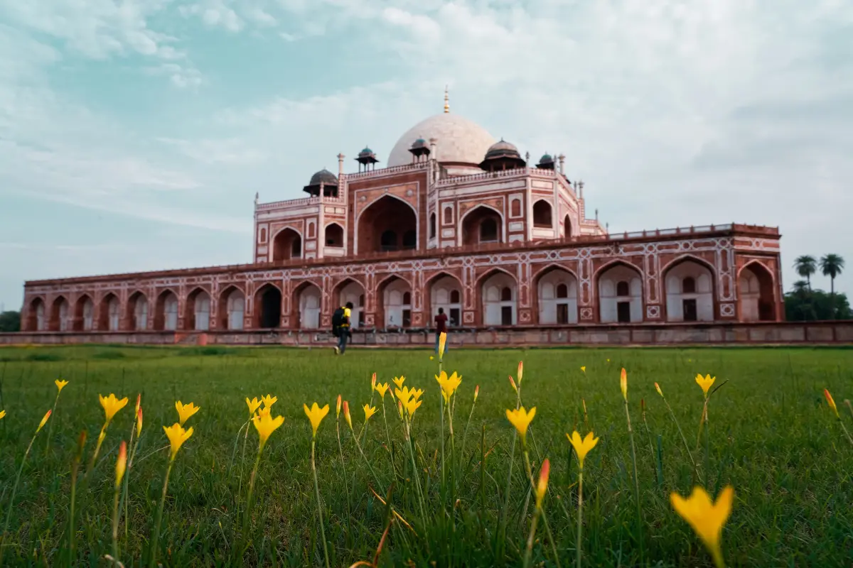 Visit beautiful historical sites in Delhi.
