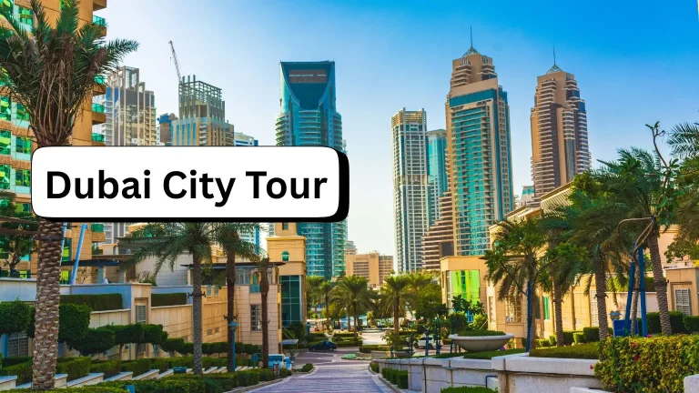 Dubai City Tour