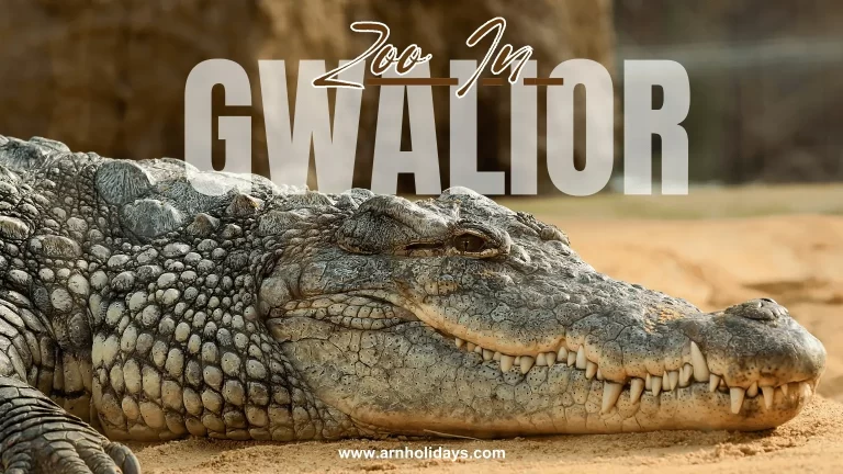 Zoo In Gwalior